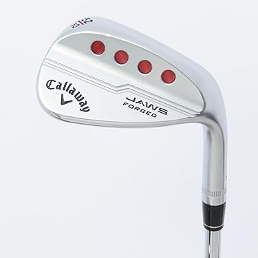 レフティ　エピックフラッシュ　ストラータ　新品ウェッジ　新品パター　新品バック Amazon.co.jp 最新リリース: ゴルフクラブ・ギャップウェッジ