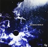 AWAKING WORLD