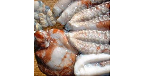 Amazon 生タコ ミズタコ 内蔵処理済み 4kg前後 生タコ タコ 通販