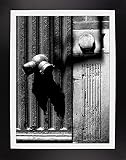 ホースよだれかけB & W by Harold Silverman – Buildings & Cityscapes 18.04"x12" 50441-30-6FUSA