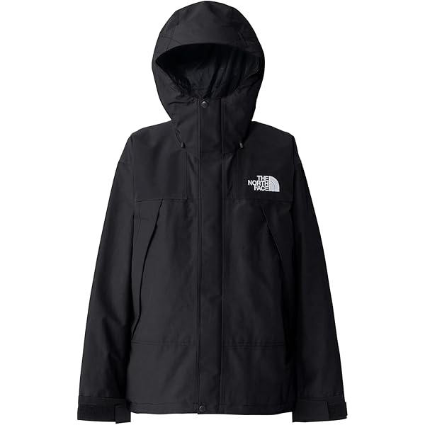 Amazon.co.jp: THE NORTH FACE ノースフェイス ゴアテックス