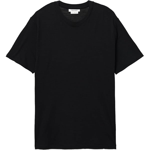 Amazon.co.jp: [icebreaker] U Merino 200 LS Polo Shirt サミット 2XS