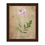 ポピーonグリーン: Distressed PressedピンクPoppy Flowers Poppies壁アートプリント 20x24 GRU0000320FRM20X24SES