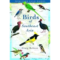 Birds of Southeast Asia: 37 : Robson, Craig: Amazon.sg: Books