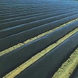 黒マルチ 厚さ0.05mmX幅180cmX長さ100m 雑草の抑制効果が高い畑用黒マルチです。