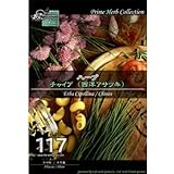 [ ハーブ 種 ] チャイブ
