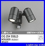 オーデリック　エクステリアライト 【OG 254 558LD】【OG254558LD】