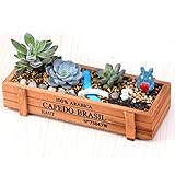 多肉植物プランター　フラワースタンド　寄せ植えの箱　ウッドボックス　植木鉢　観葉植物　22.5*8*5cm