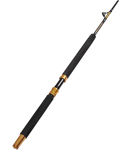 Amazon | ペン (Penn) リール Senator (セネター) ベイトリール 115L2