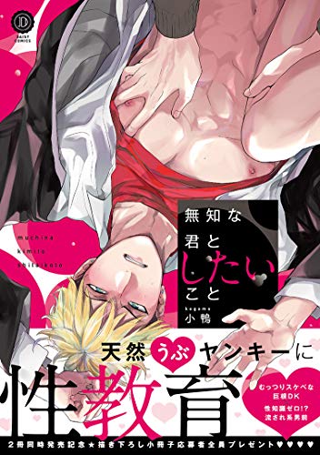 『無知な君としたいこと』1巻