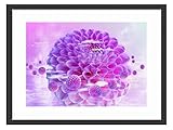 kdnsgfdsブラックソリッド木製フレーム付きアートプリントpicture-purpleフラワーアート 16 Inch(33 x 43 cm) TYHN-475