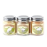 水性塗料 塗料 コンガリー 50g×3色セット JQ ディッピンペイント Dippin' Paint