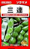 タキイ種苗 そらまめ 三連