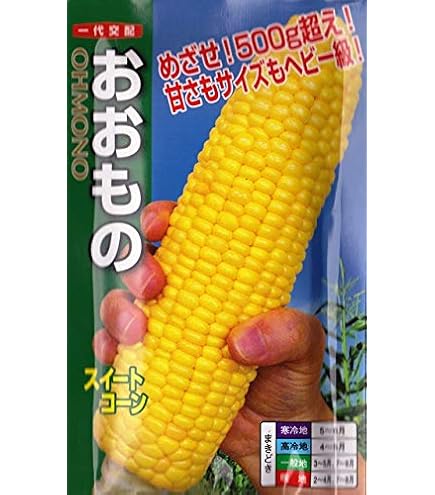 Amazon | トウモロコシ 種子 スイートコーン おおもの83 とうもろこし