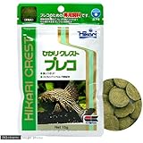 Amazon 熱帯魚 オトシンネグロ 国産ブリード ２匹 北海道 九州航空便要保温 Charm チャーム 観賞魚 水中生物 通販