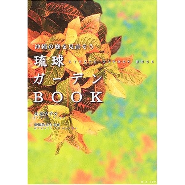 Amazon.co.jp: グソーからの伝言 : 比嘉 淳子: Japanese Books