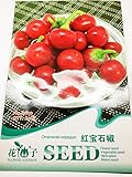 【野菜種】小型赤色とうがらし 珍しい品種