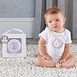 ベビーアスペン ギフト マイルストーン 月齢ステッカー ブルー 出産祝い ba28003na