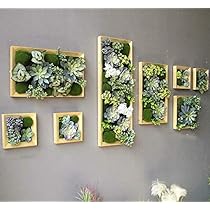 516ItMK-eFL._AC_UL210_SR210,