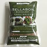 ベラボン サキュレント 1L
