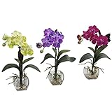 Nearly Natural 1312-S3 Vanda Orchid Arrangement, Mini, Yellow/Purple/Beauty, Set of 3 [並行輸入品]