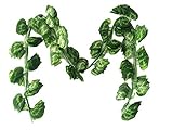 meiliy 7.87 Ft人工植物アイビー葉Greeneryチェーンつる葉シミュレーション花ホーム部屋ガーデンウェディングガーランド外装飾、12パック