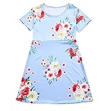 FEITONG DRESS ベビー・ガールズ US サイズ: 12-18 Months カラー: ブルー