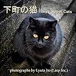 下町の猫 (Lasp)