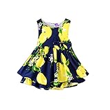 Ochine　欧米風　女の子　袖なし　可愛い柄　リボン飾り 綺麗な 花の飾り付け 蝶結び　夏らしい 　お姫様スカート