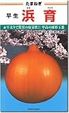 タマネギ種子・浜育（はまそだち）玉ねぎ（20ｍｌ）