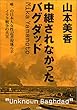 中継されなかったバグダッド-唯一の日本人女性記者現地ルポ-イラク戦争の真実