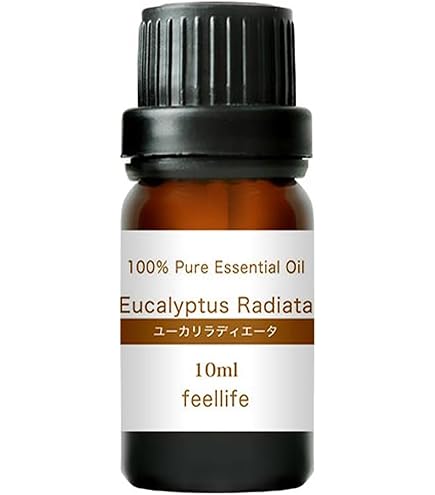 Amazon.co.jp: ユーカリシトリオドラ レモンユーカリ ユーカリレモン