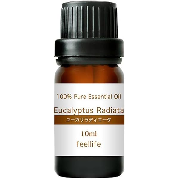 Amazon.co.jp: ユーカリシトリオドラ レモンユーカリ ユーカリレモン