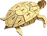 Wooden Art KI-GU-MI ウミガメ