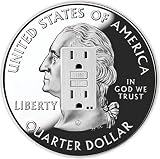 Rikki Knight RND-GFISINGLE-104 Quarter Coin Round Single GFI Light Switch Plate, Silver [並行輸入品]