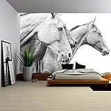 (ウォール26) wall26 自己粘着式壁紙 大型壁面シリーズ 100"x144" WMR-WP-X-C281-100x24x6