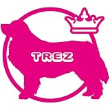 14色 愛犬名 or 犬種名 入り バーニーズマウンテンドッグ ステッカー DOG ON BOARD【DOG IN CAR ワンコ 名入れ ネーム ドッグ 犬 大型犬 サイン 名前 名前入れ】 (ピン
