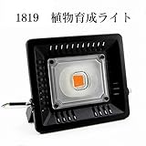 1819 植物育成 LEDライト 水耕栽培ランプ 投光器型 屋内用 110V 50W 照射範囲を広け 野菜育成 園芸育成