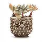 T4U 7CM 陶器 フクロウ模様 植木鉢 多肉植物 サボテン鉢 フラワーポット プランター容器 茶褐色