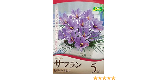 Amazon カネコ種苗 サフラン ５球 花色 淡紫 球根