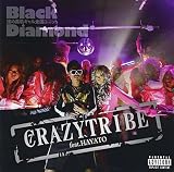 CRAZY TRIBE feat.HAYATO/PERSONA
