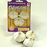 【球根・にんにく】 国産にんにく 球根 150ｇ ニンニク