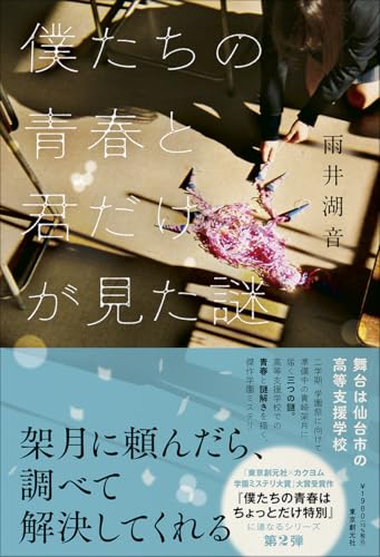 雨井湖音:僕たちの青春と君だけが見た謎