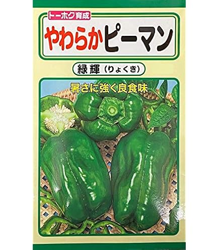 Amazon | サカタのタネ 実咲野菜1402 ジャンボピーマン デカチャンプ
