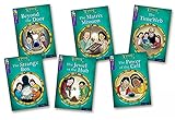 Oxford Reading Tree TreeTops Time Chronicles: Level 11: Pack of 6