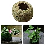 寄せ植えの箱 フラワーポット プランター容器 肉植物・観葉植物対応 フラワースタンド 植木鉢 フラワーポット 収納ボックス アンティーク木箱