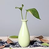 現代の小さな陶製花瓶の卓上植物コンテナホームオフィスカフェ装飾のために