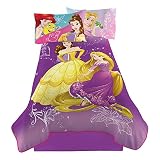 Disney Princess Wishful Dreamer Micro Raschel Blanket [並行輸入品]