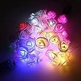 POTOJP クリスマス 飾り バラ柄 LED イルミネーションライト 10球1.2m ガーデンライト クリスマスツリー クリスマス/結婚式/パーティー/屋外/新年会 雰囲気作り (MR)