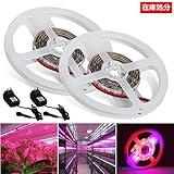 LED植物育成テープ「 2本セット」1M 12V IP65 SMD5050 在庫処分 自由にカットできる 植物ライト 植物育成 室内栽培